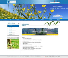 蜂业股份与汉沙科技携手 食品酒业网站设计与重庆优化的战略布局